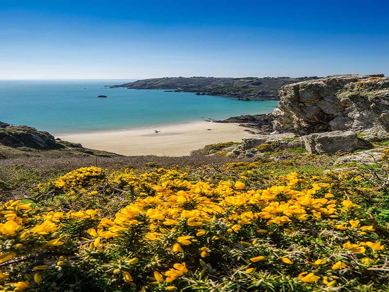 Guernsey foto 2